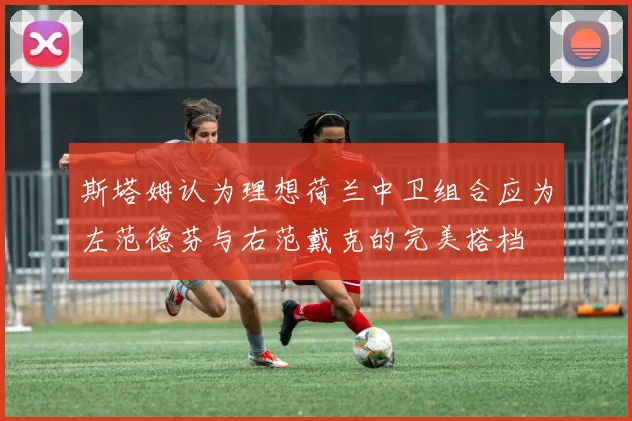 斯塔姆认为理想荷兰中卫组合应为左范德芬与右范戴克的完美搭档